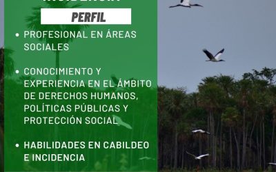 Contratación de Consultor/a para Incidencia