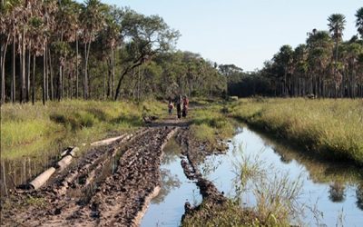 Construcción de camino para Yakye Axa honrará compromisos asumidos por Estado paraguayo